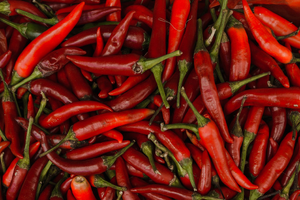 Aménagement PMR Cayenne